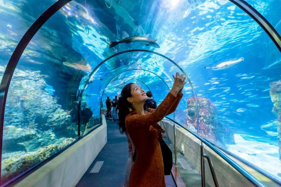 Unterwassertunnel im Barcelona Aquarium