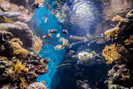 Barcelona Aquarium 3